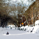 Illustration for article titled Adorable Kids And Adorable Dogs Make The Most Of Snow